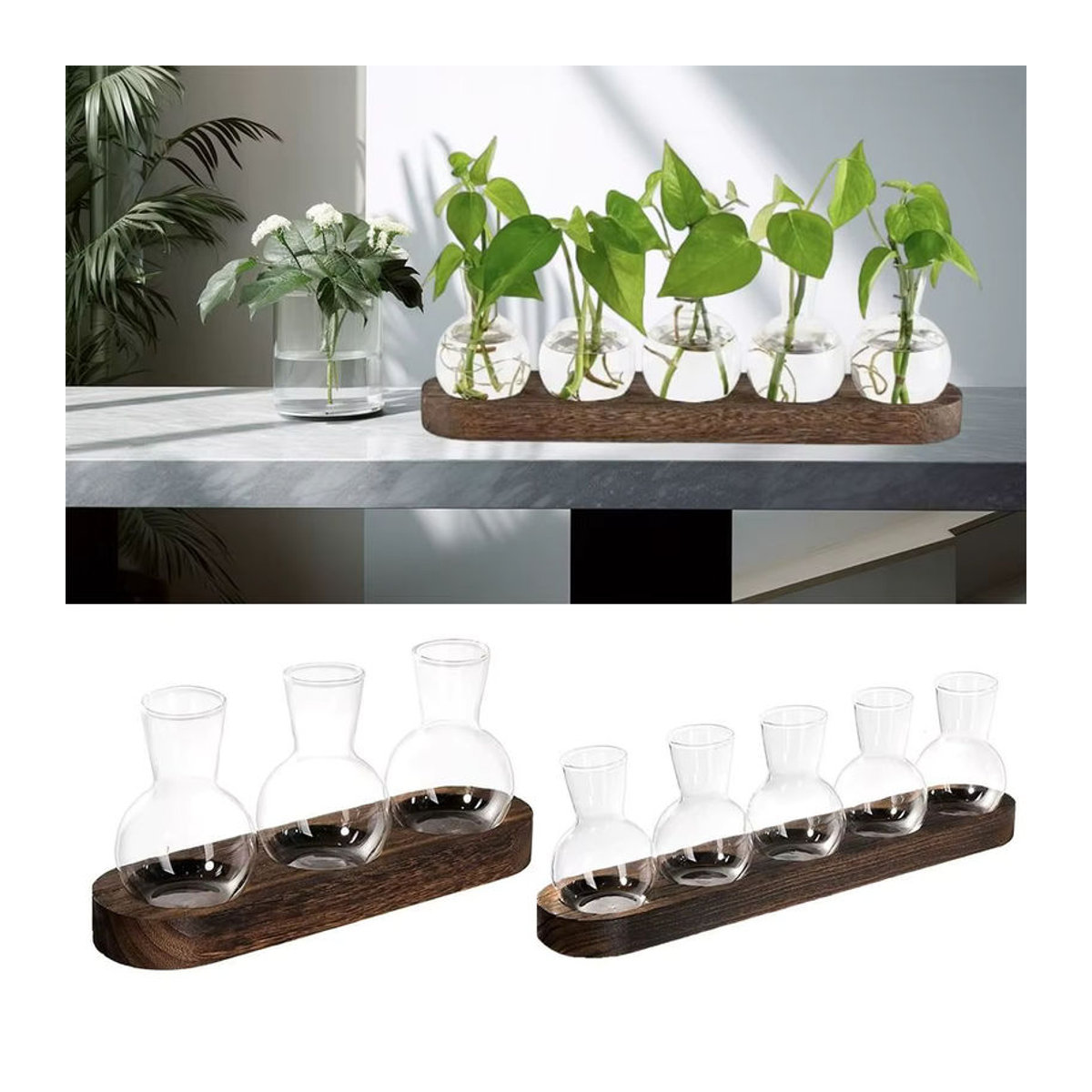 Moderne Pflanzenterrarium-Vermehrungsstation aus Glas und Holz mit flaschenförmigen Vasen in Transparent und Braun - Bild 3
