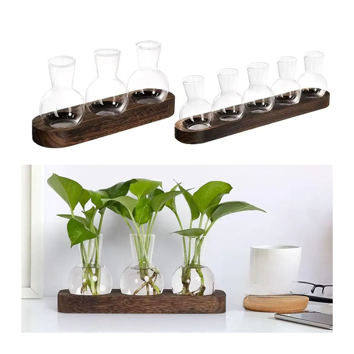 Moderne Pflanzenterrarium-Vermehrungsstation aus Glas und Holz mit flaschenförmigen Vasen in Transparent und Braun - Bild 7