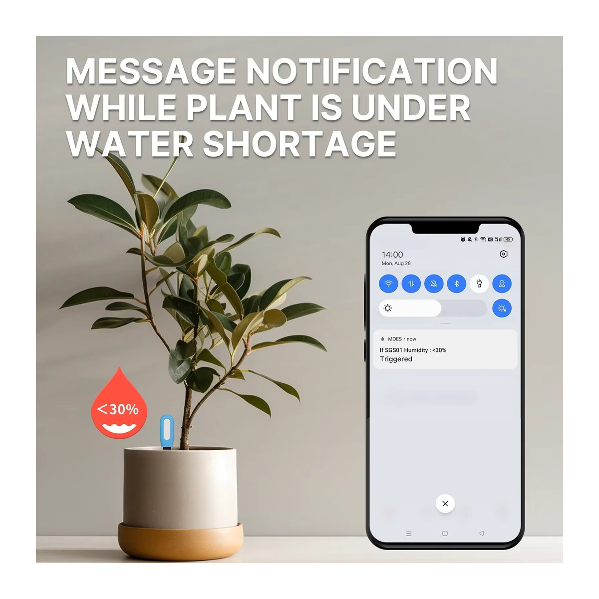 MOES Smart Bodenfeuchtigkeitssensor ZigBee zur Überwachung von Bodentemperatur und Luftfeuchtigkeit für deine Pflanzen und Gartenautomation - Bild 3