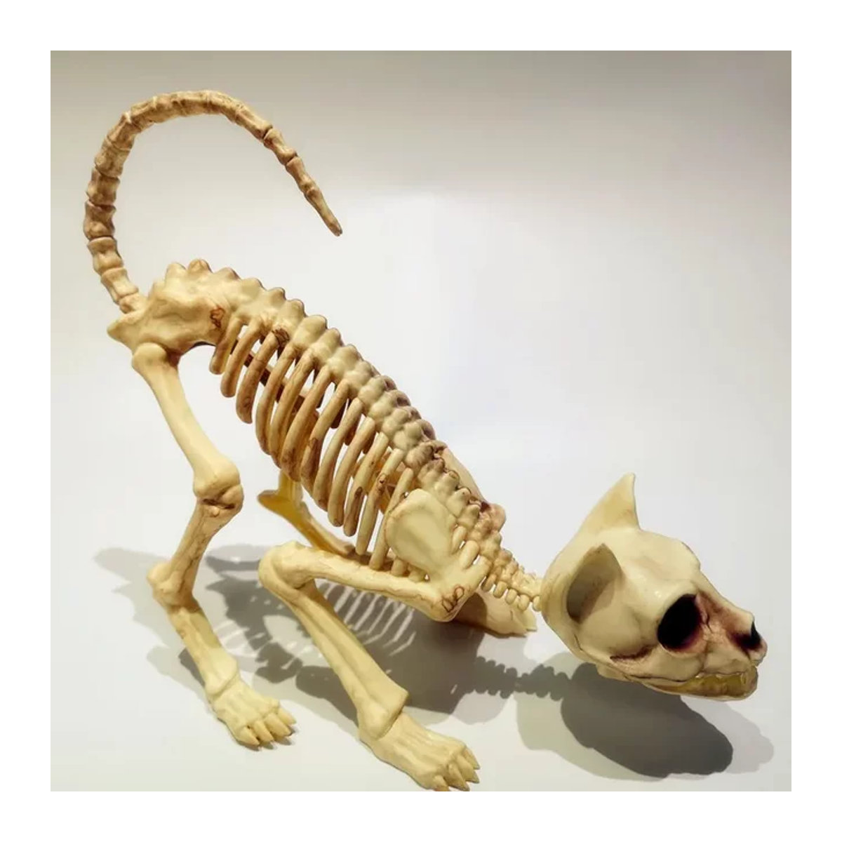 MOONBIFFY Halloween Skelett-Dekoration hockende Katze aus Kunstharz in Beige - Bild 1