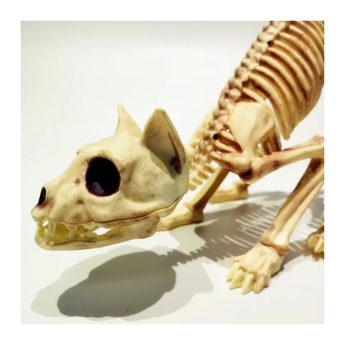 MOONBIFFY Halloween Skelett-Dekoration hockende Katze aus Kunstharz in Beige - Bild 2