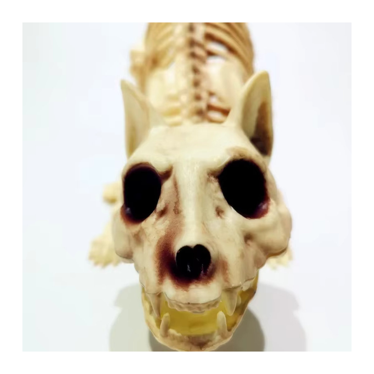 MOONBIFFY Halloween Skelett-Dekoration hockende Katze aus Kunstharz in Beige - Bild 3