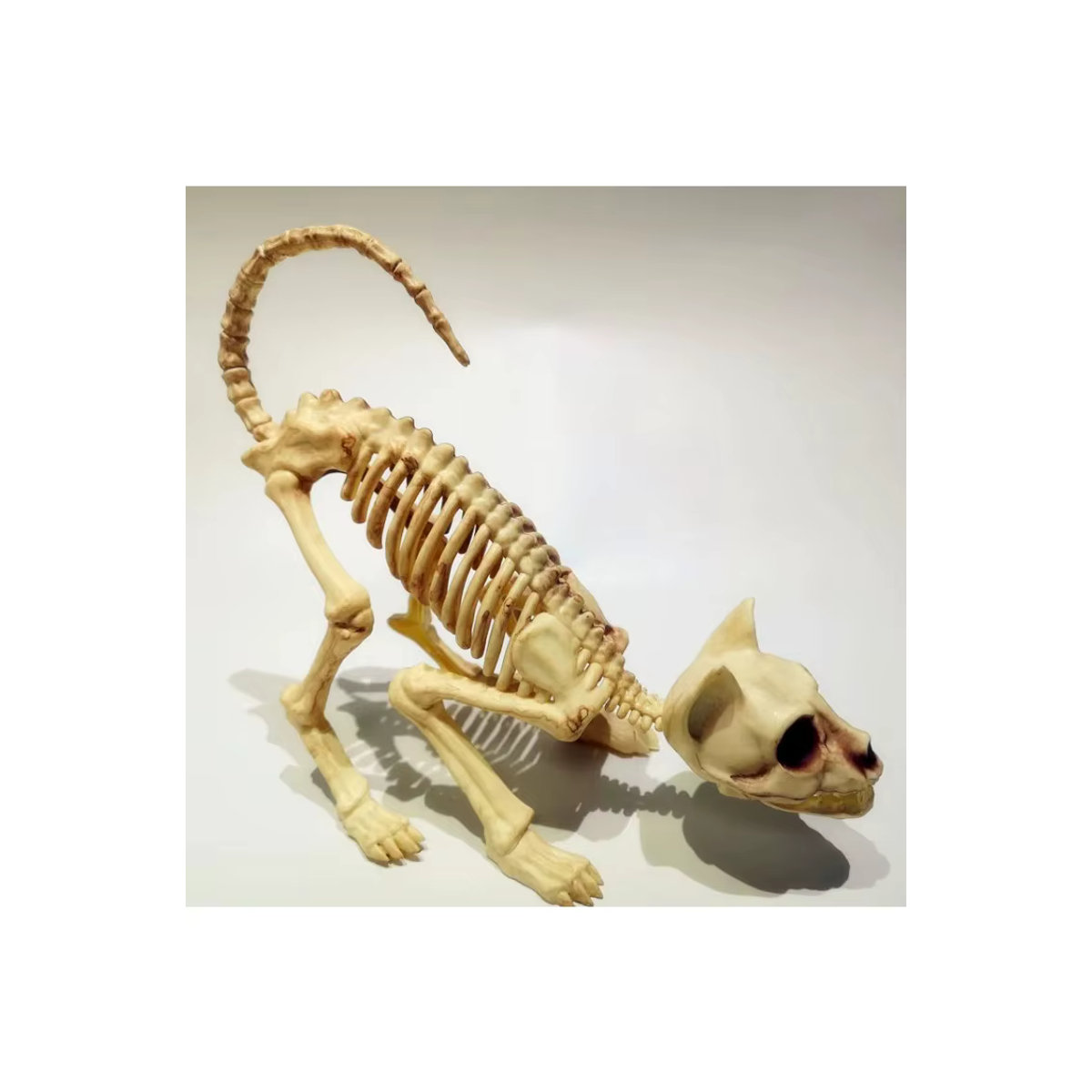 MOONBIFFY Halloween Skelett-Dekoration hockende Katze aus Kunstharz in Beige - Bild 4