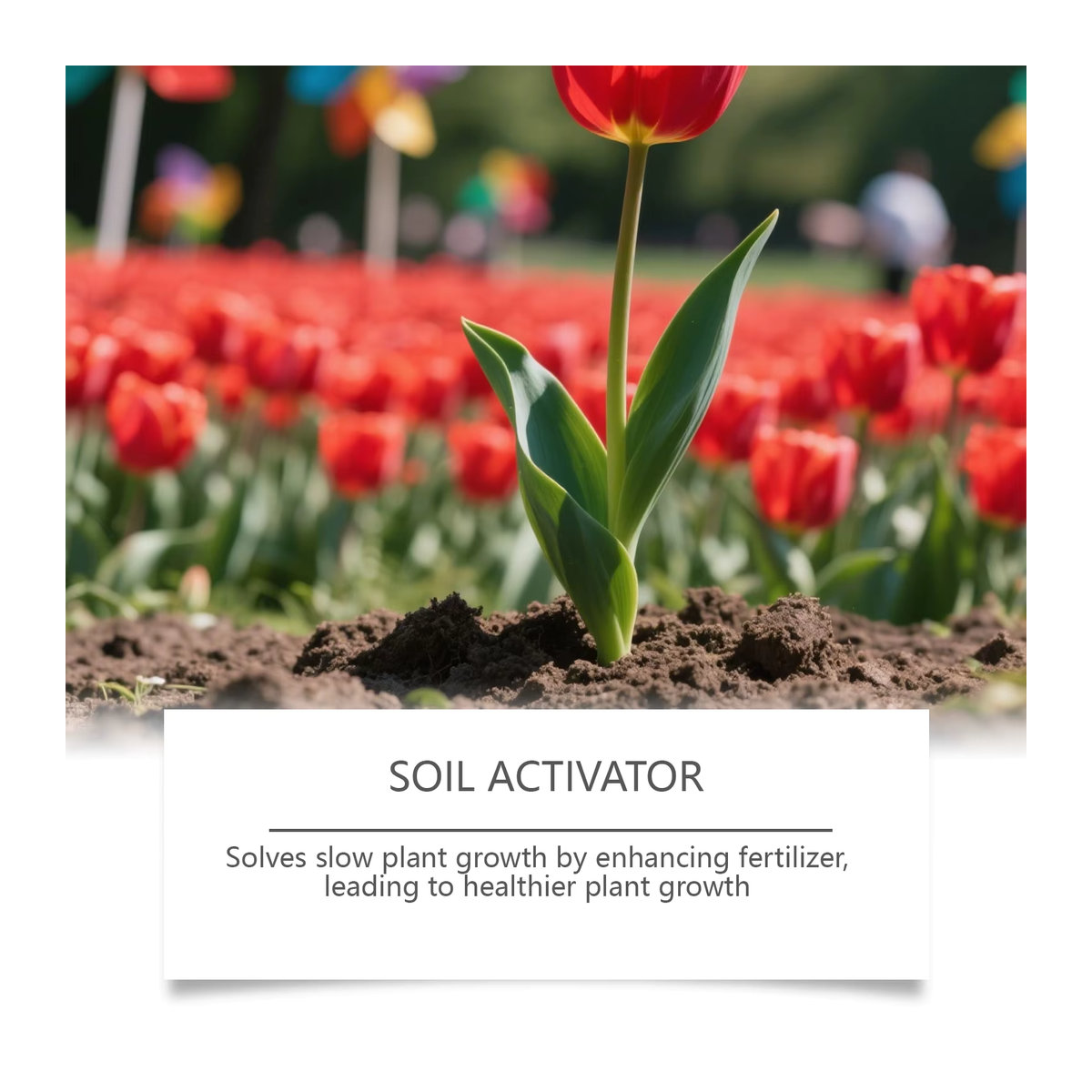 MOONSPRY Bodenaktivator für Pflanzen und Blumenerde zur Verbesserung der Nährstoffversorgung für Garten, Topfpflanzen und Gemüse - Bild 3