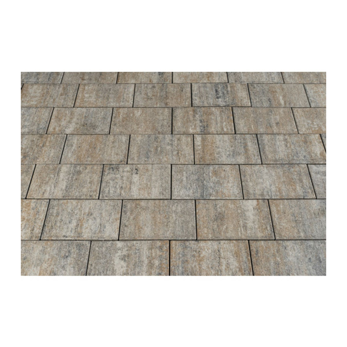 Mr. GARDENER Pflasterstein Ensenada aus Beton in Beige - Bild 3