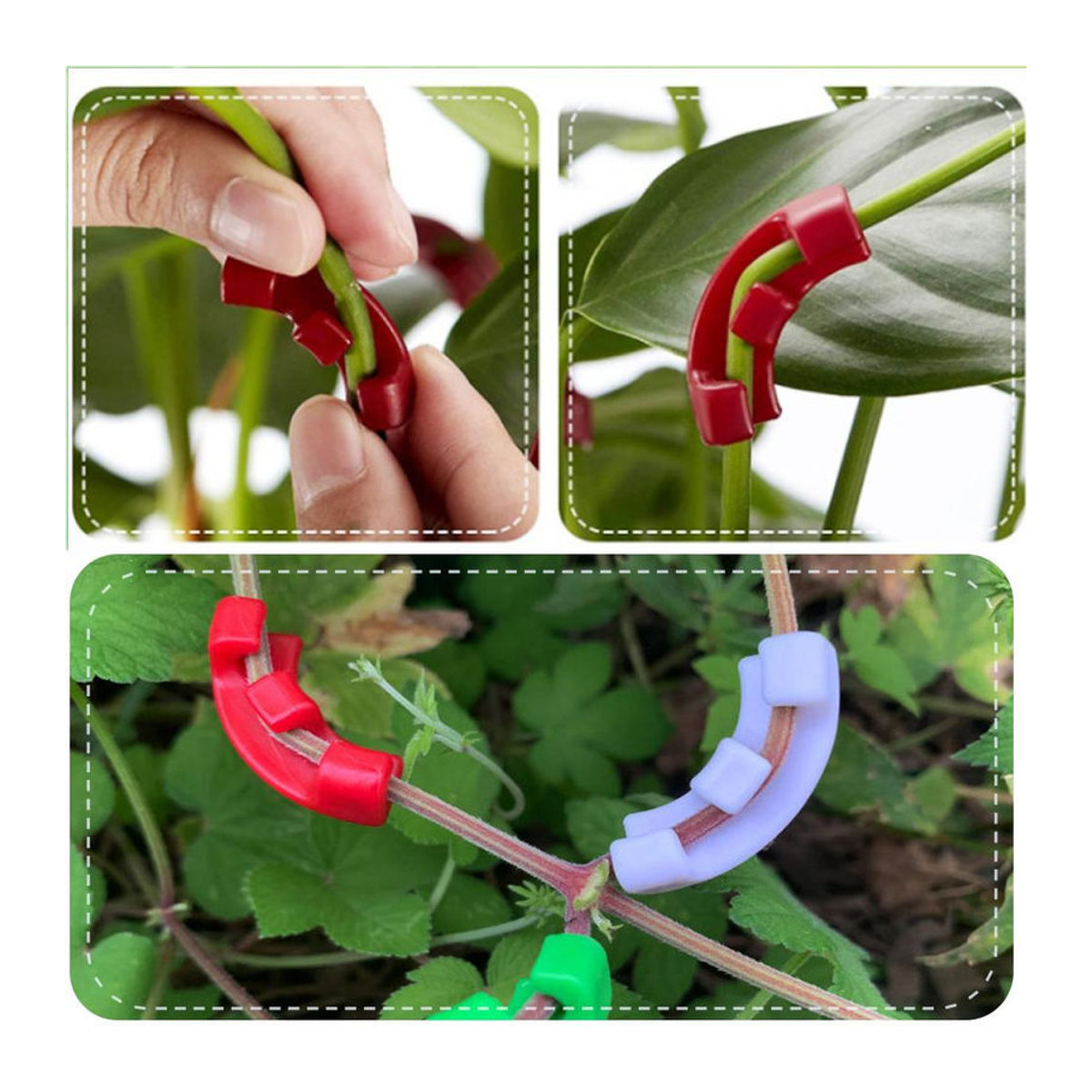 MTMA 10er Set Wiederverwendbare 90 Grad Astbiegeklammern zur Ertragssteigerung für Tomaten, Paprika und Erdbeeren in Rot, Grün oder Weiß - Bild 5