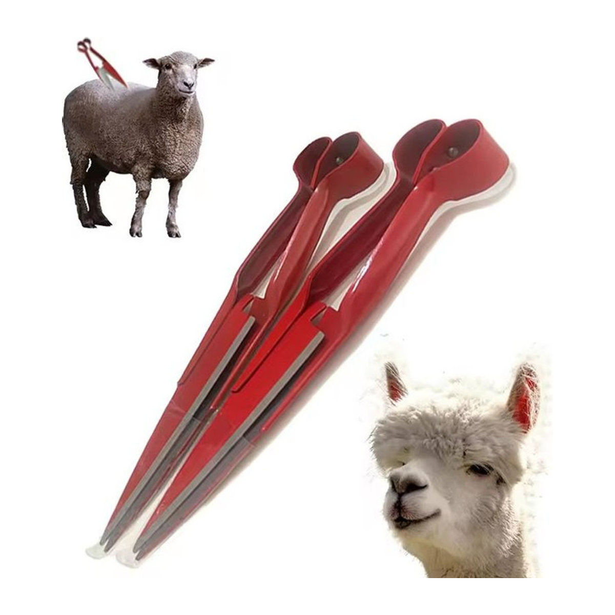 Multifunktionale Wollschere für Gartenarbeit und Tierpflege bei Schafen, Ziegen, Pferden oder Kaninchen sowie zur Beschneidung von Topfpflanzen - Bild 1
