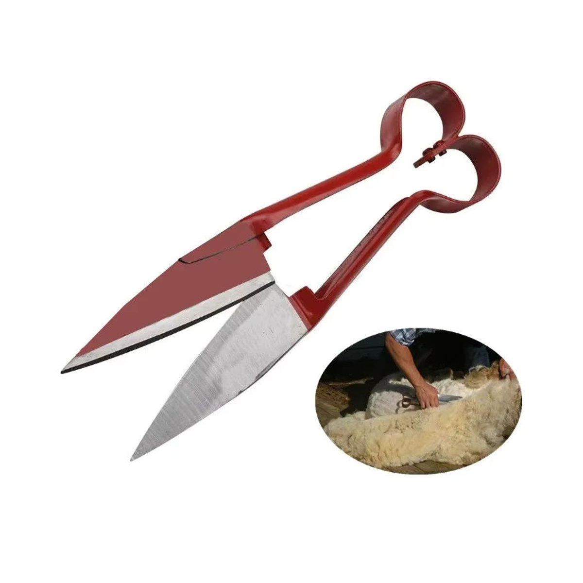 Multifunktionale Wollschere für Gartenarbeit und Tierpflege bei Schafen, Ziegen, Pferden oder Kaninchen sowie zur Beschneidung von Topfpflanzen - Bild 2