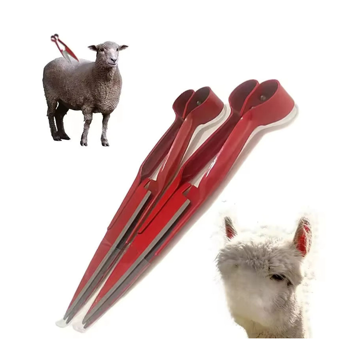 Multifunktionale Wollschere für Gartenarbeit und Tierpflege bei Schafen, Ziegen, Pferden oder Kaninchen sowie zur Beschneidung von Topfpflanzen - Bild 6