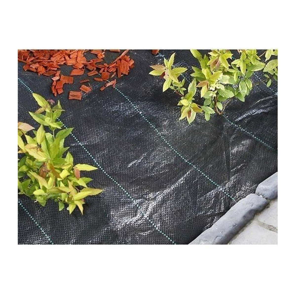 Nature Unkrautvlies Schwarz 2,10 x 25 m UV-beständig 100 g/m² - Bild 1