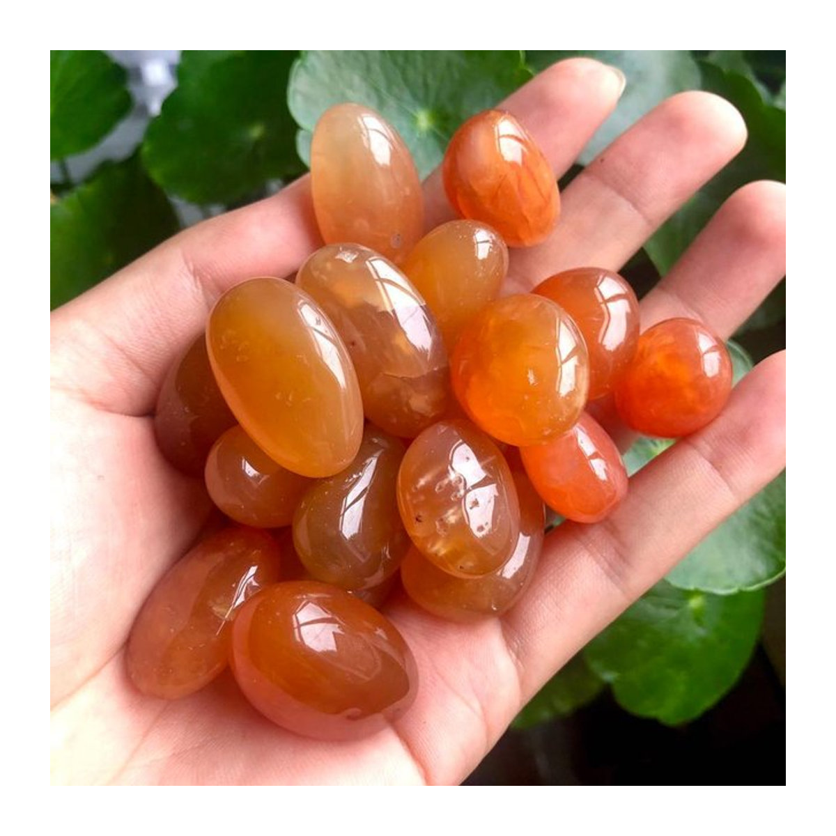 Natürliche Karneol Steine von Sisterstone in Orange als Achat Quarz Kristall zur Heilung und Entmagnetisierung - Bild 1