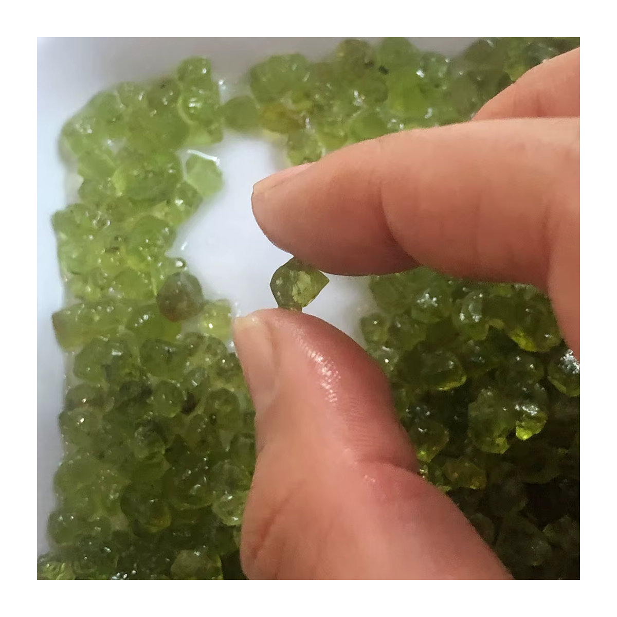 Natürliche Peridot Olivin Rohstein-Chips in Grün, 50 g - Bild 4