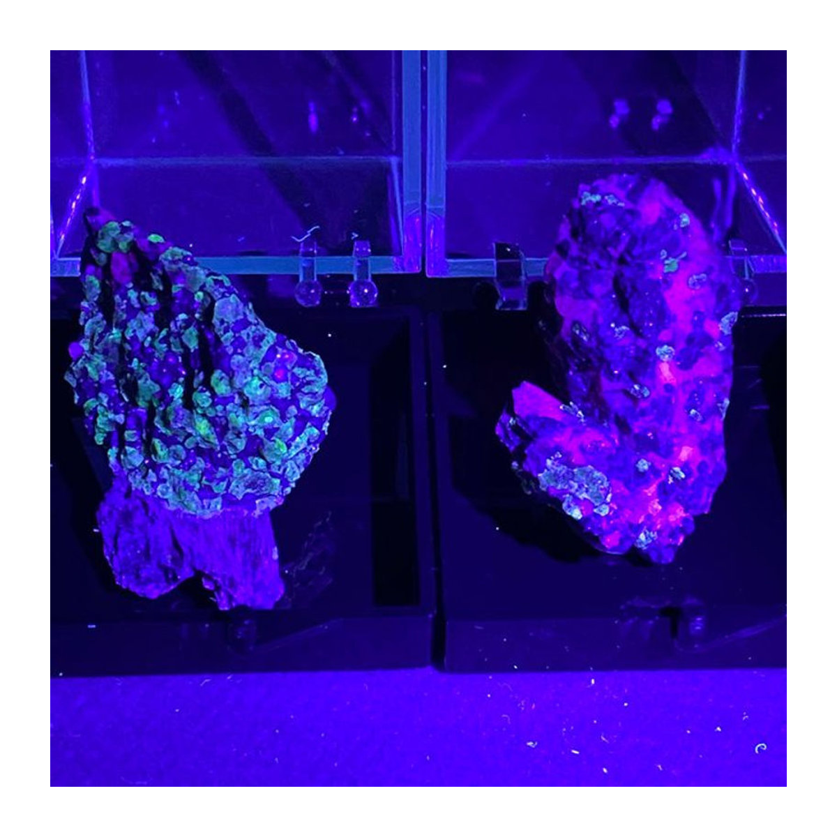 Natürliche Willemite-Stein Mineralprobenperlen in Rot und Grün von WETFGTNM mit Aufbewahrungsbox, Boxgröße: B: 3,5 cm, T: 3,5 cm, H: 3,5 cm - Bild 1