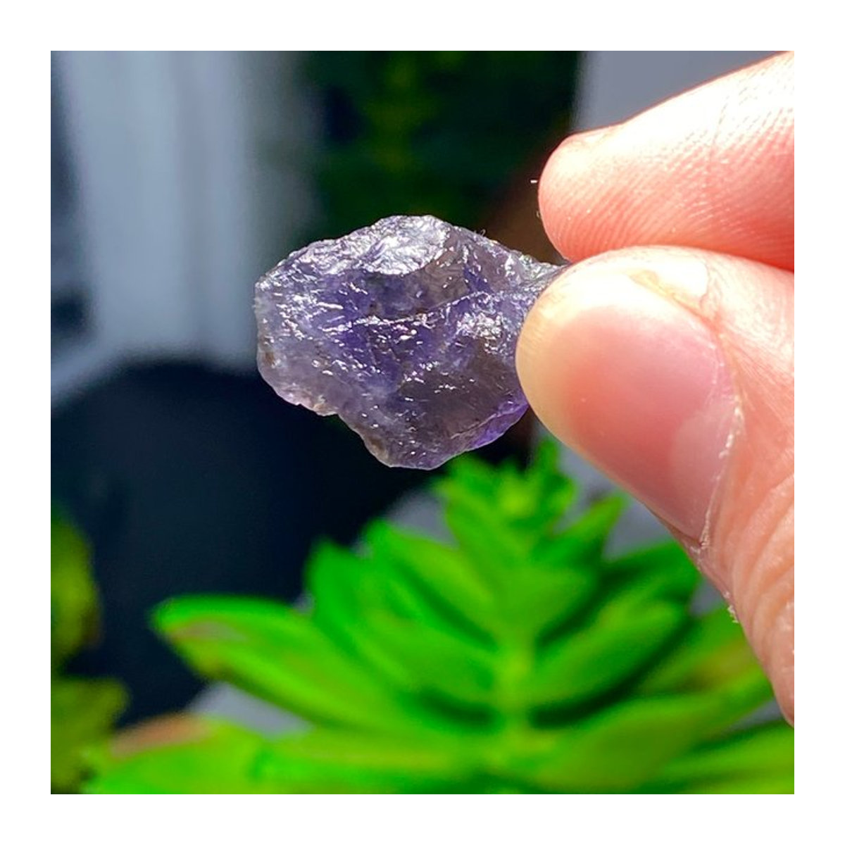 Natürlicher Iolith-Rohstein als Dekoration in Blau und Lila, 50 g - Bild 1