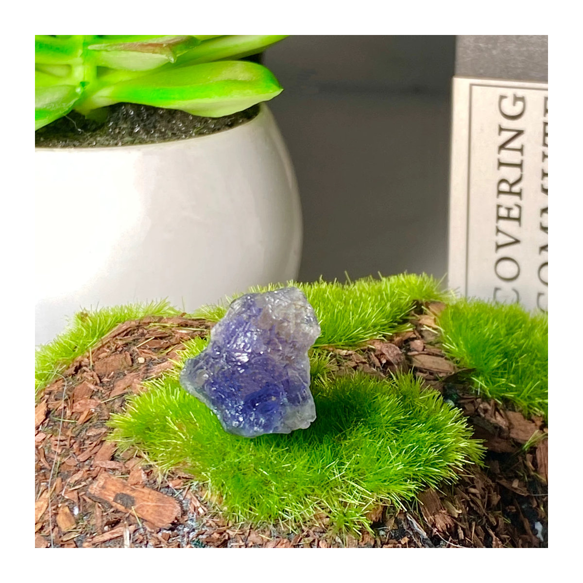 Natürlicher Iolith-Rohstein als Dekoration in Blau und Lila, 50 g - Bild 2