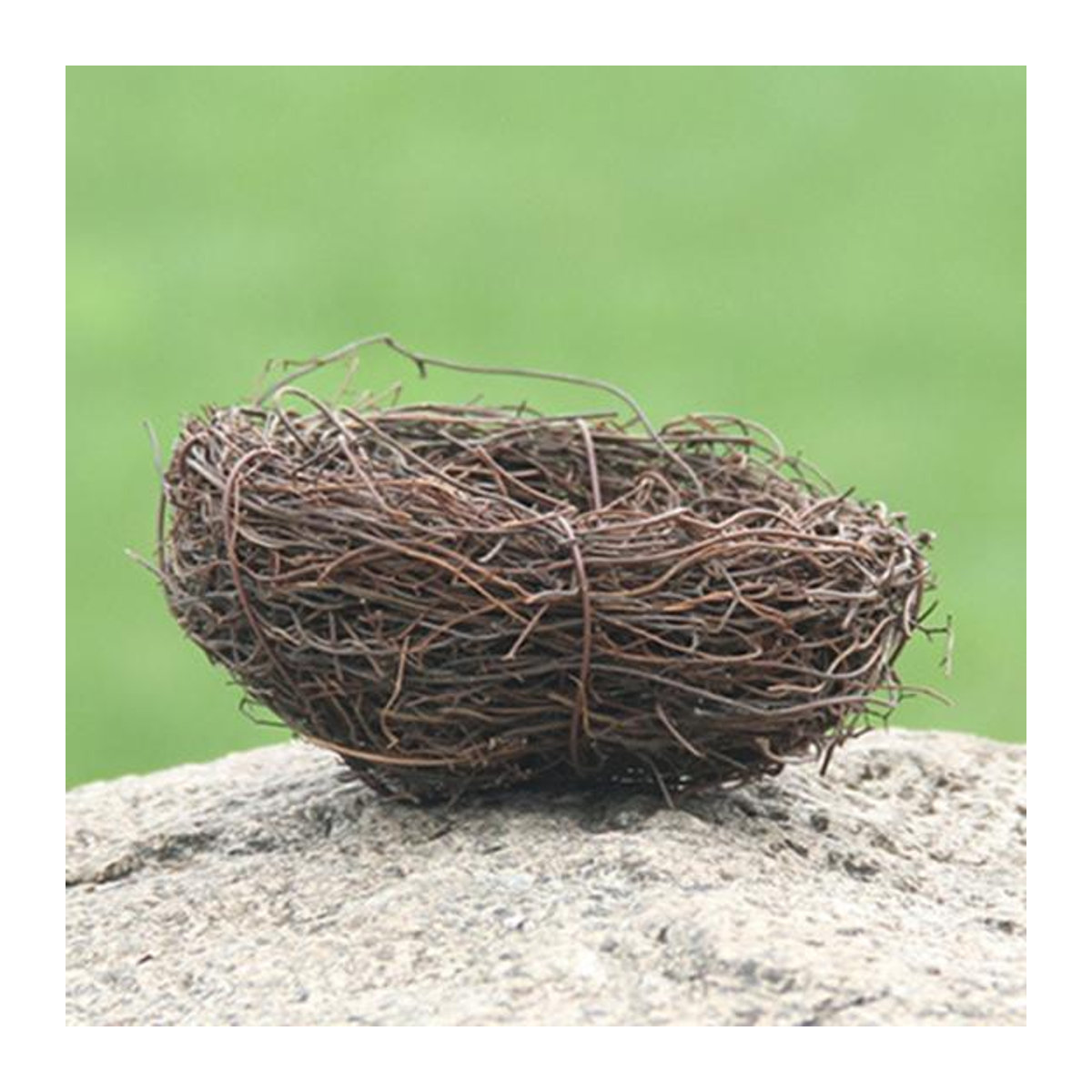NexGoods Künstliches Vogelnest aus Rattan in Braun, rustikale Dekoration für Ostern, Hochzeit und Weihnachten, Durchmesser: 6 cm - Bild 3