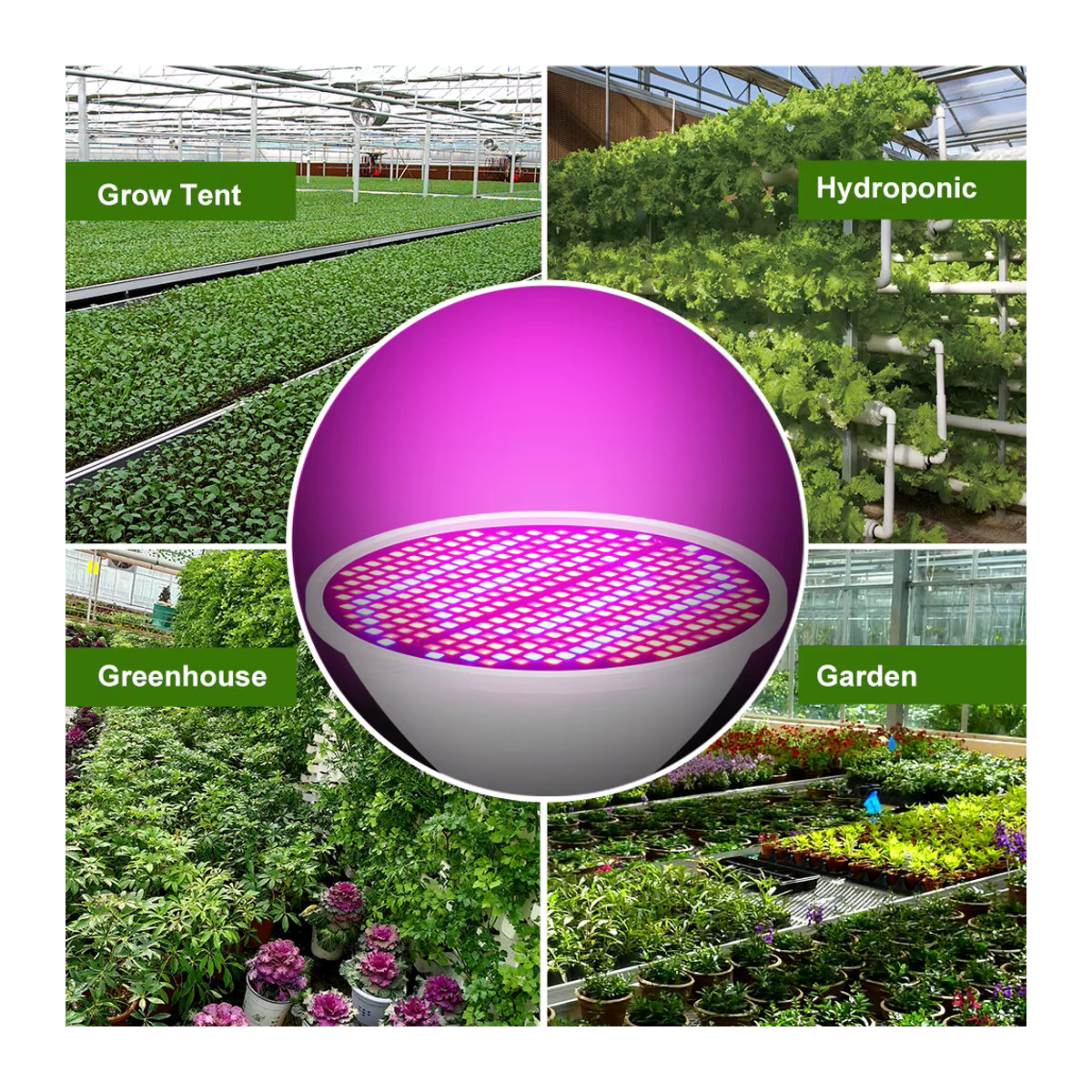 NJHIKG 30W Vollspektrum LED Pflanzenlampe mit E27 Fassung für den Innenbereich und Gewächshaus zur Aufzucht von Blumen, Gemüse und Obst - Bild 3
