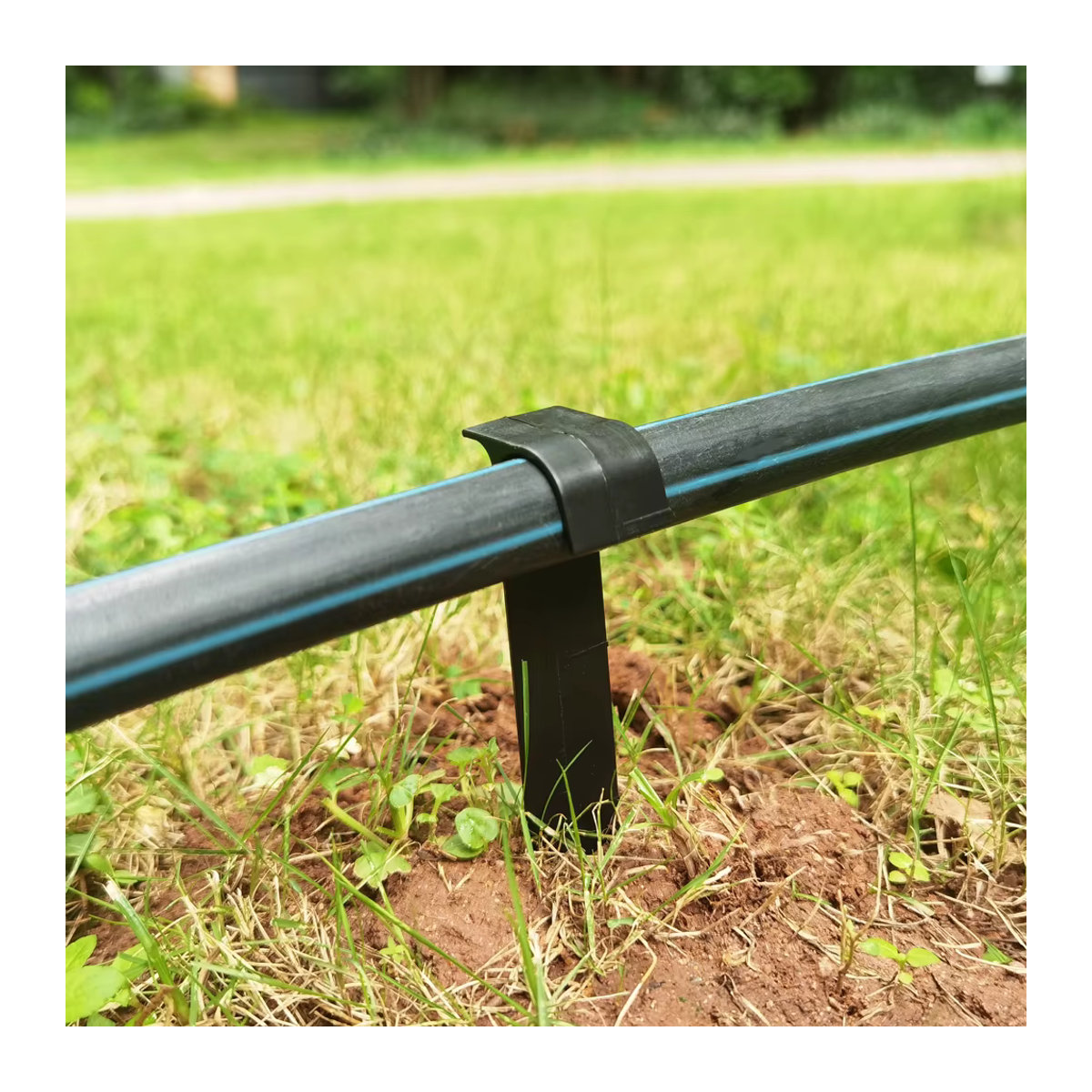 Oase Schlauchhalter C-Typ Erdspieße aus Kunststoff für Tropfbewässerung, 50 Stück, Schwarz, 16mm und 20mm - Bild 4