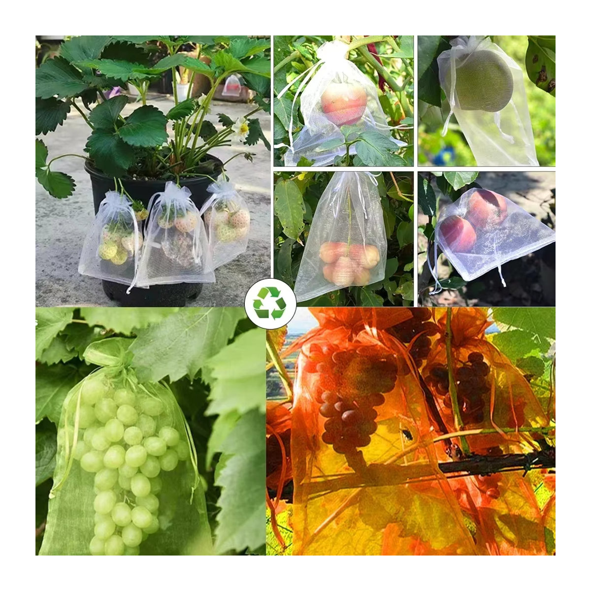 Obstschutzbeutel aus Netzgewebe für Trauben, Erdbeeren und Gemüse zum Schutz vor Vögeln im Garten - Bild 5