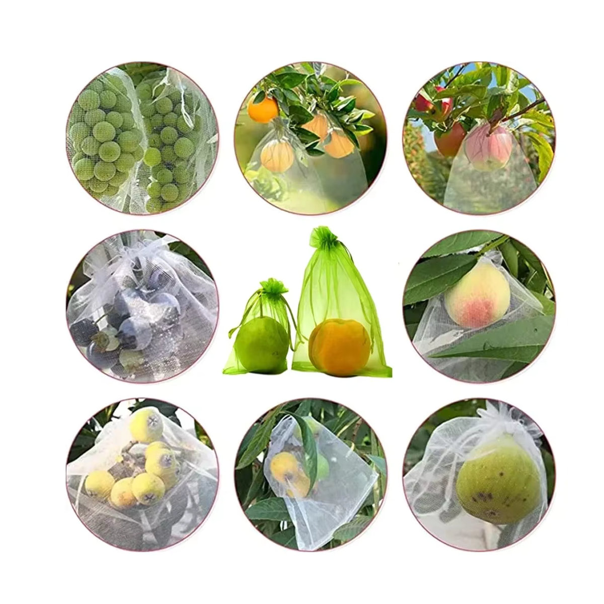 Obstschutzbeutel aus Netzgewebe für Trauben, Erdbeeren und Gemüse zum Schutz vor Vögeln im Garten - Bild 6