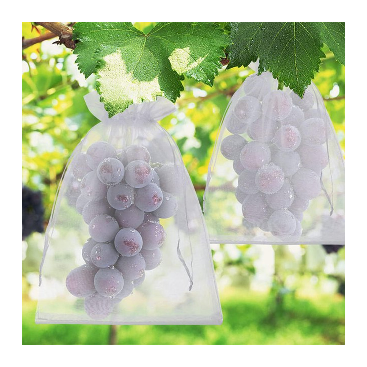 Obstschutzbeutel für Trauben und Erdbeeren zum Schutz vor Vögeln, 50-100 Stück Garten-Netztaschen - Bild 1