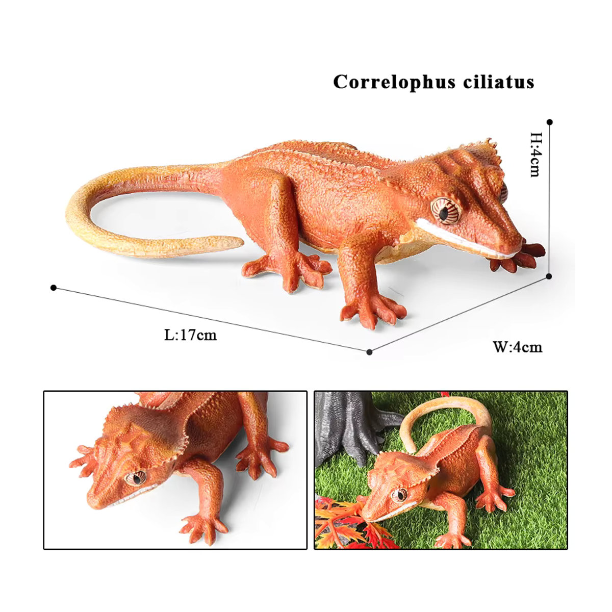 Oenux Reptilien-Modellfigur Chamäleon und Gecko als detailgetreue Tier-Actionfigur für Kinder und Sammler, mehrfarbig - Bild 2