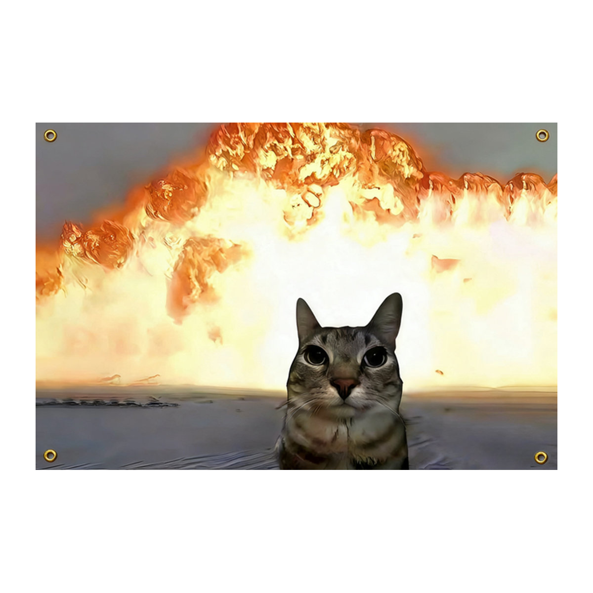 OIMG Wandteppich mit lustigem Katzen-Meme-Motiv und Explosions-Hintergrund, mehrfarbig, B/H: 91,44 x 60,96 cm - Bild 1