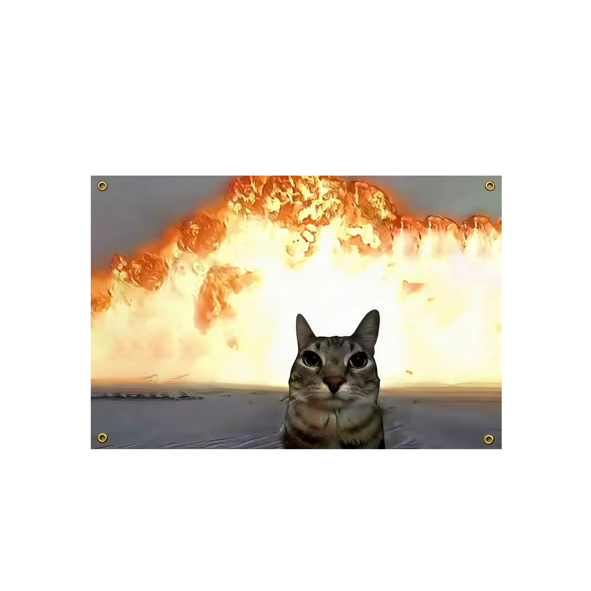 OIMG Wandteppich mit lustigem Katzen-Meme-Motiv und Explosions-Hintergrund, mehrfarbig, B/H: 91,44 x 60,96 cm - Bild 2