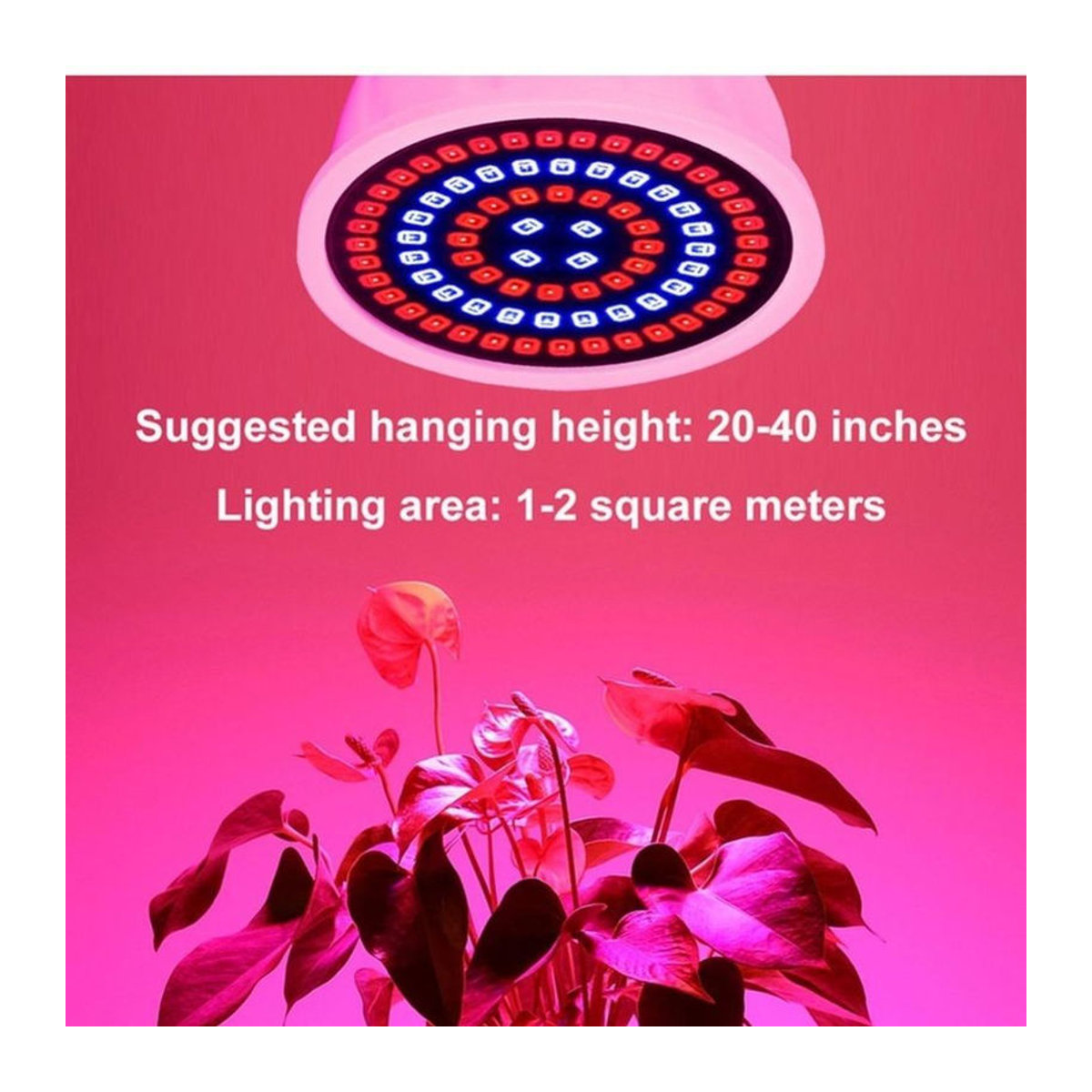 OuuZuu LED Pflanzenlampe Vollspektrum mit 80 LEDs für Hydrokultur und Pflanzenwachstum, Kaltweiß - Bild 3