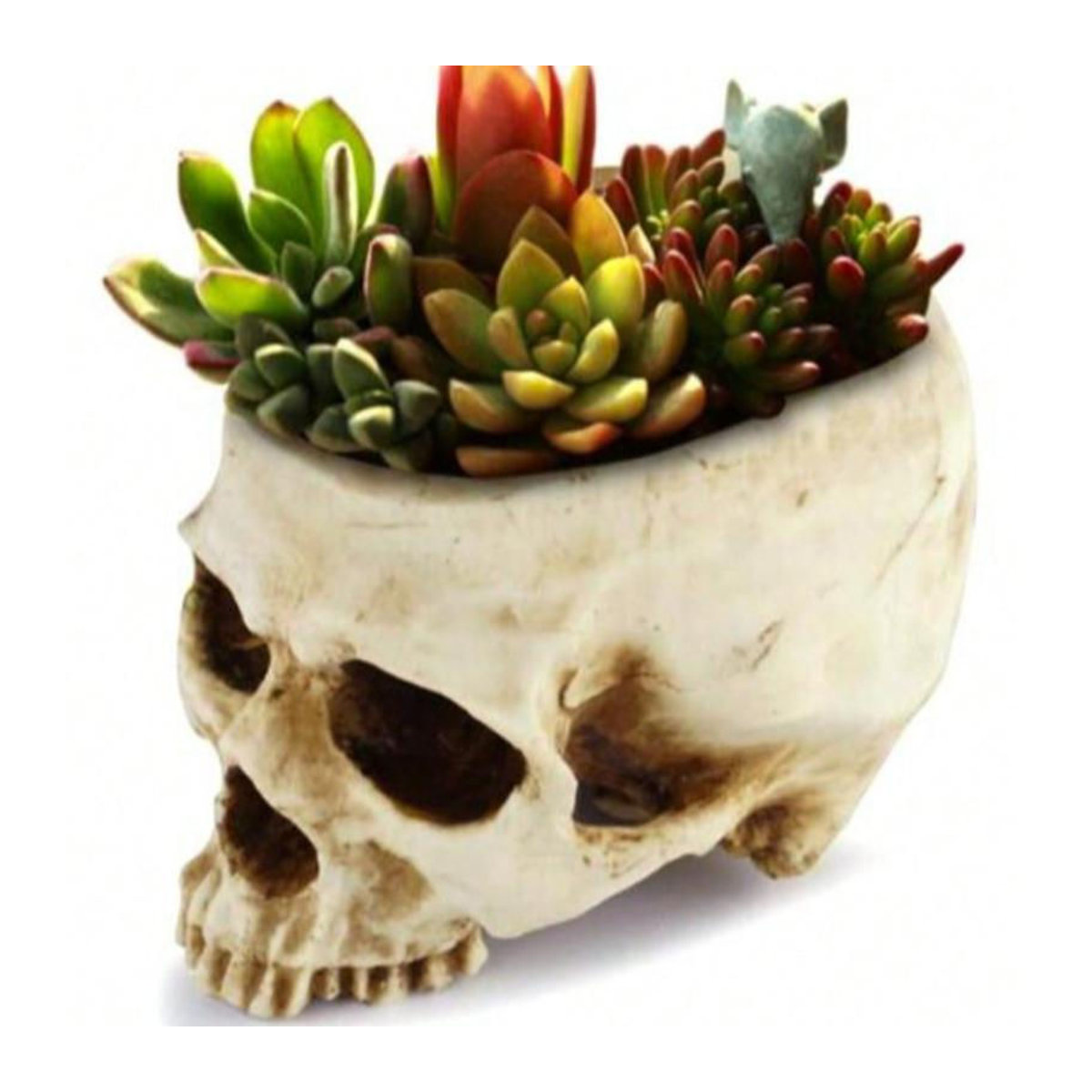 Ouyaohong Abstrakter Schädel Blumentopf aus Kunstharz in Beige als kreative Horror-Skulptur und Vase für Schnittblumen zur Desktop-Dekoration - Bild 2