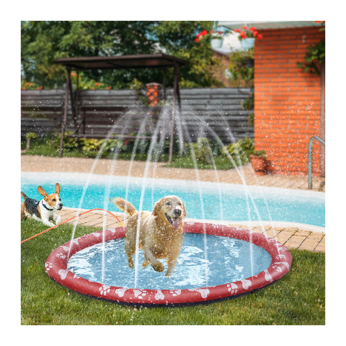 PawHut Hundepool aus Kunststoff in Rot, rutschfestes Planschbecken für Garten und Camping, Durchmesser: 170 cm - Bild 2