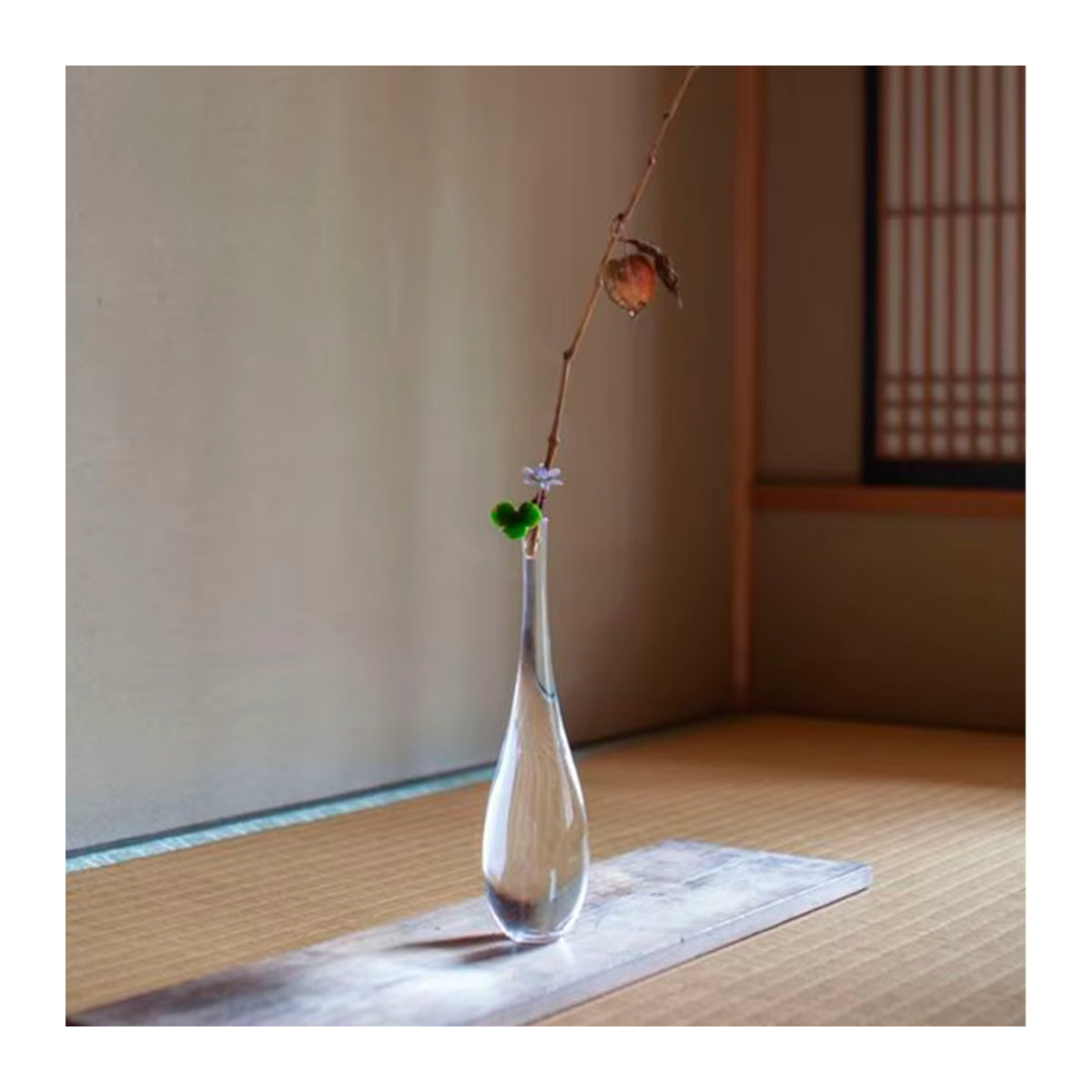PDQ Glasvase im japanischen Zen-Stil, transparente bauchige Guanyin-Vase für Schnittblumen und Topfpflanzen in minimalistischem Design - Bild 2