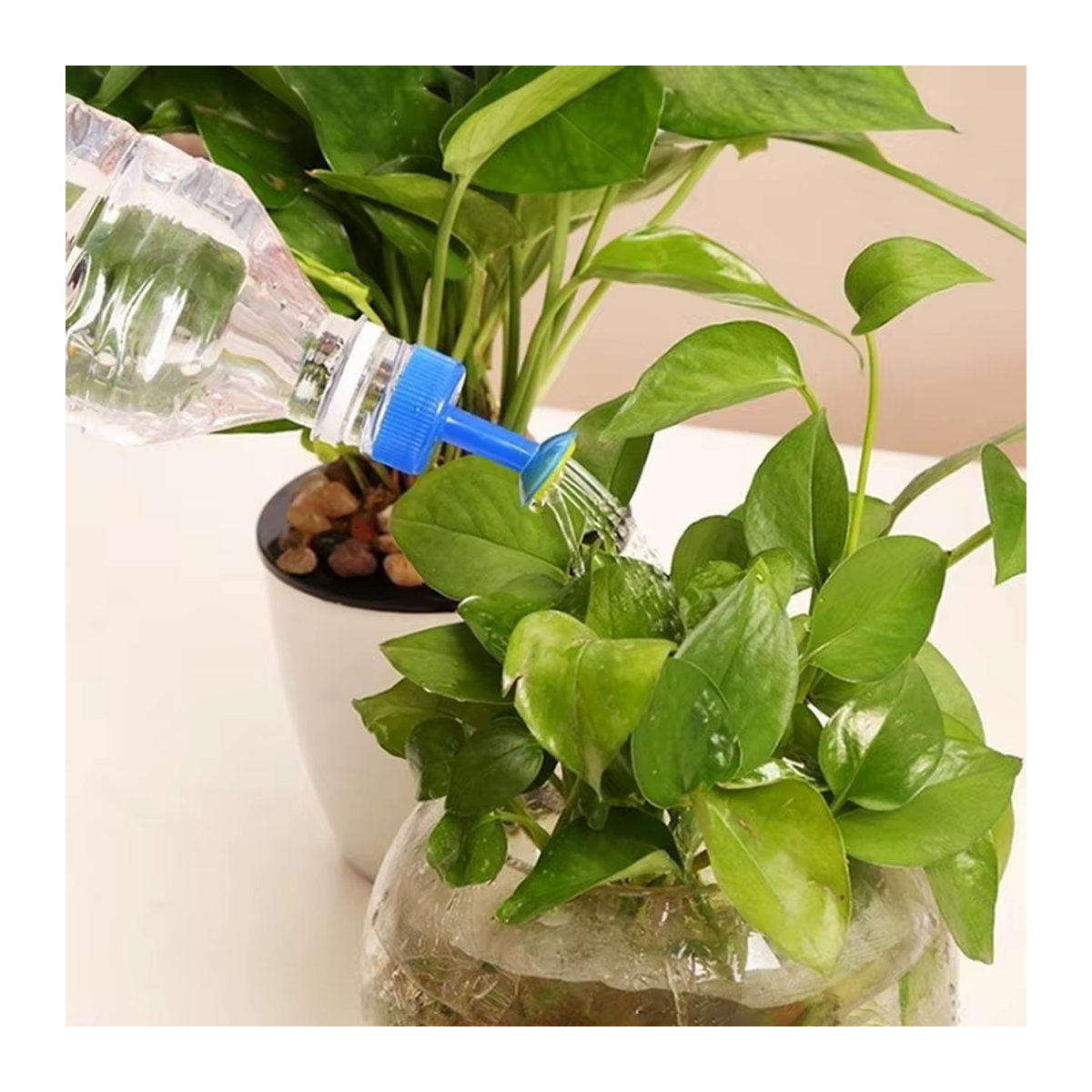 Pengliu Blumenbewässerungsflasche mit Gießkanne zur tragbaren Tropfbewässerung für Deine Pflanzen - Bild 5