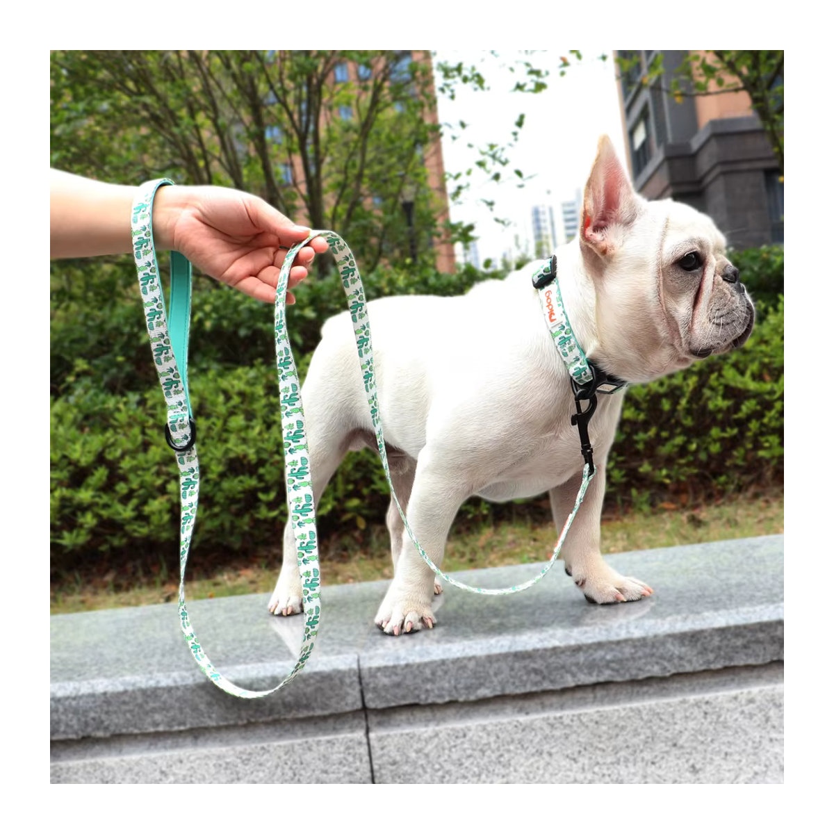 PET ARTIST Hundeleine aus Nylon mit gepolstertem Griff und Druckmuster, 150 cm, blau/mehrfarbig - Bild 5