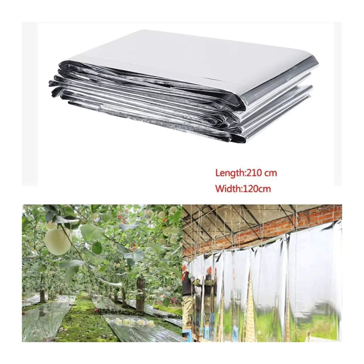 Petp Reflektierende Gewächshausfolie zur Förderung des Pflanzenwachstums, B: 210 cm, H: 120 cm - Bild 4