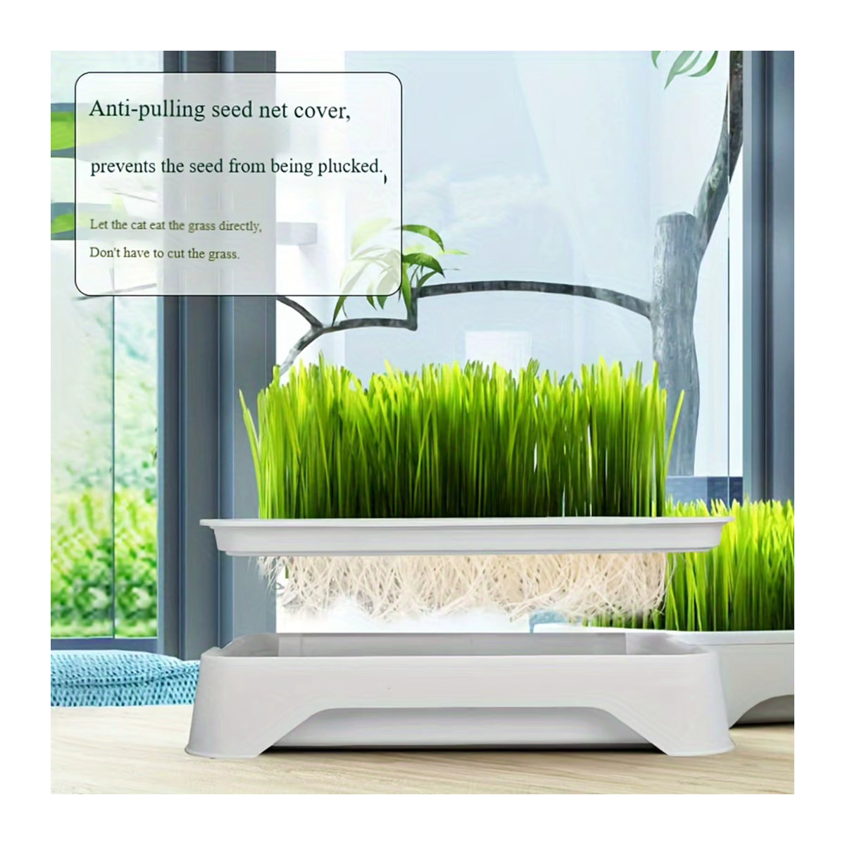 Pflanzbecken für Katzen mit Hydrokultur zur Anzucht von Gras und Weizen für den Gartenbau - Bild 3