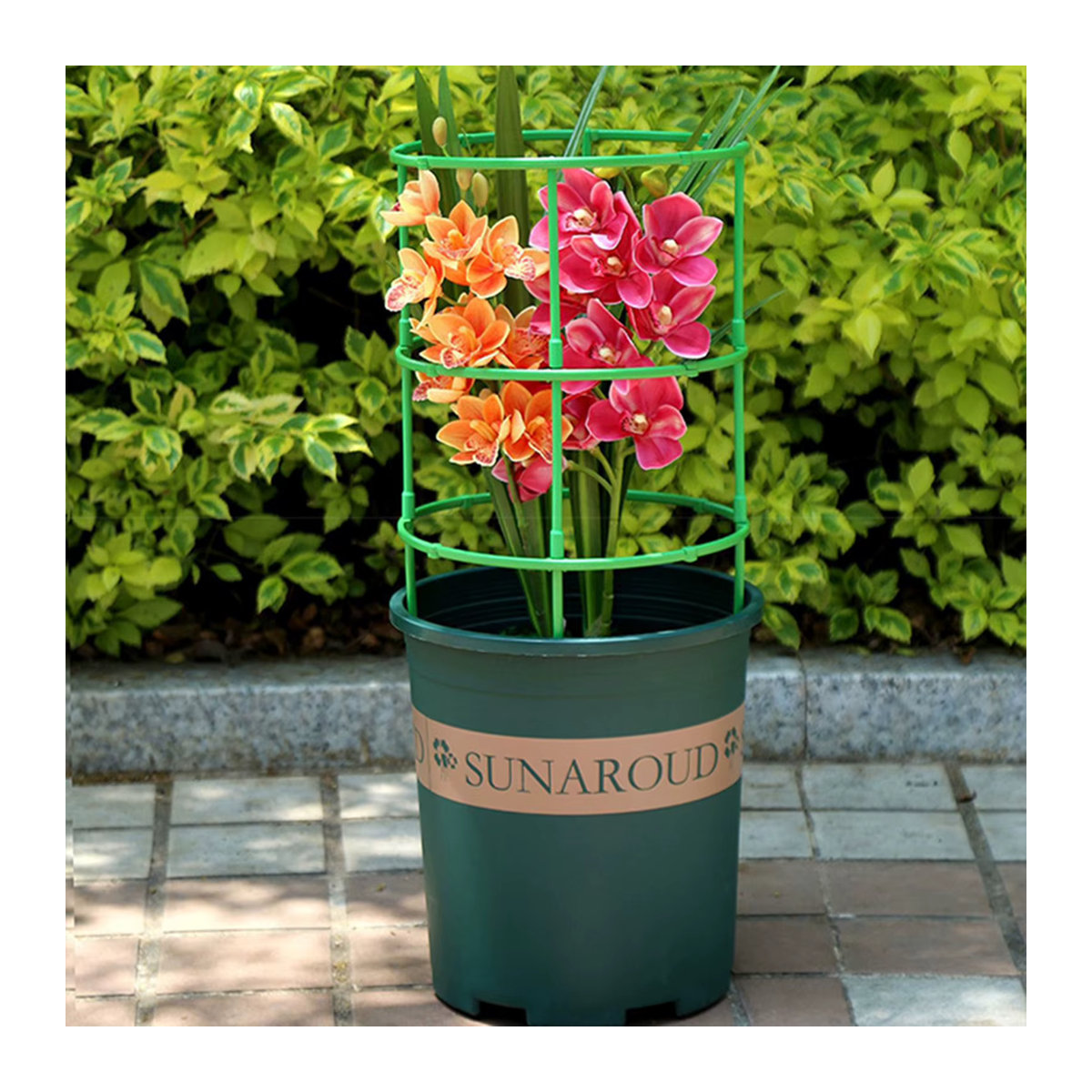 Pflanzenhalter Rund aus Kunststoff für Kletterpflanzen und Blumen, 5 oder 10 Stück - Bild 4