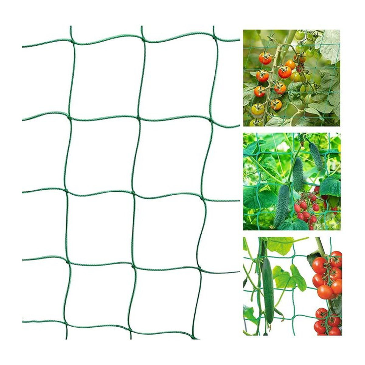 Pflanzenkletternetz als Gartennetz und Spaliernetz zur Unterstützung von Blumen, Trauben und Früchten - Bild 1
