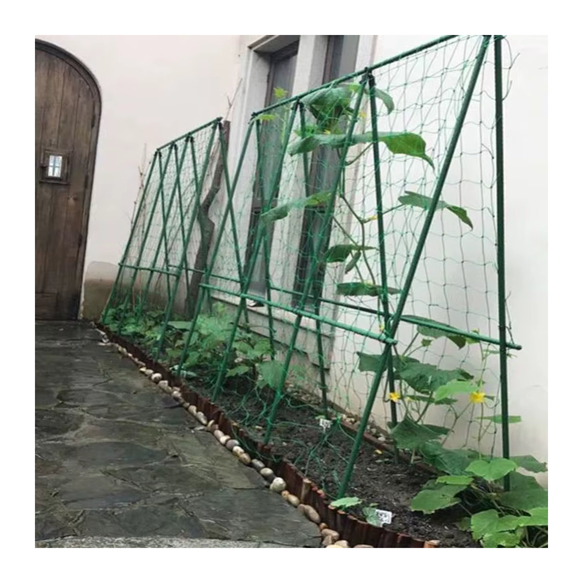 Pflanzenkletternetz als Gartennetz und Spaliernetz zur Unterstützung von Blumen, Trauben und Früchten - Bild 3