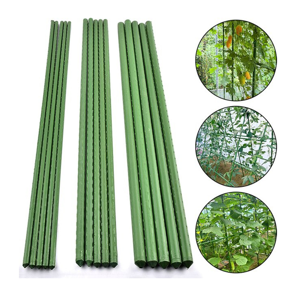 Pflanzenpfähle aus kunststoffbeschichtetem Stahl für Kletterpflanzen, Obst und Gemüse, Länge: 60 cm - Bild 1