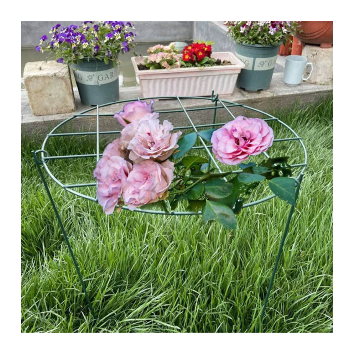 Pflanzenstütze aus Eisen als Rahmen für Blumenarrangements und Blumentöpfe im Garten oder Innenhof - Bild 3
