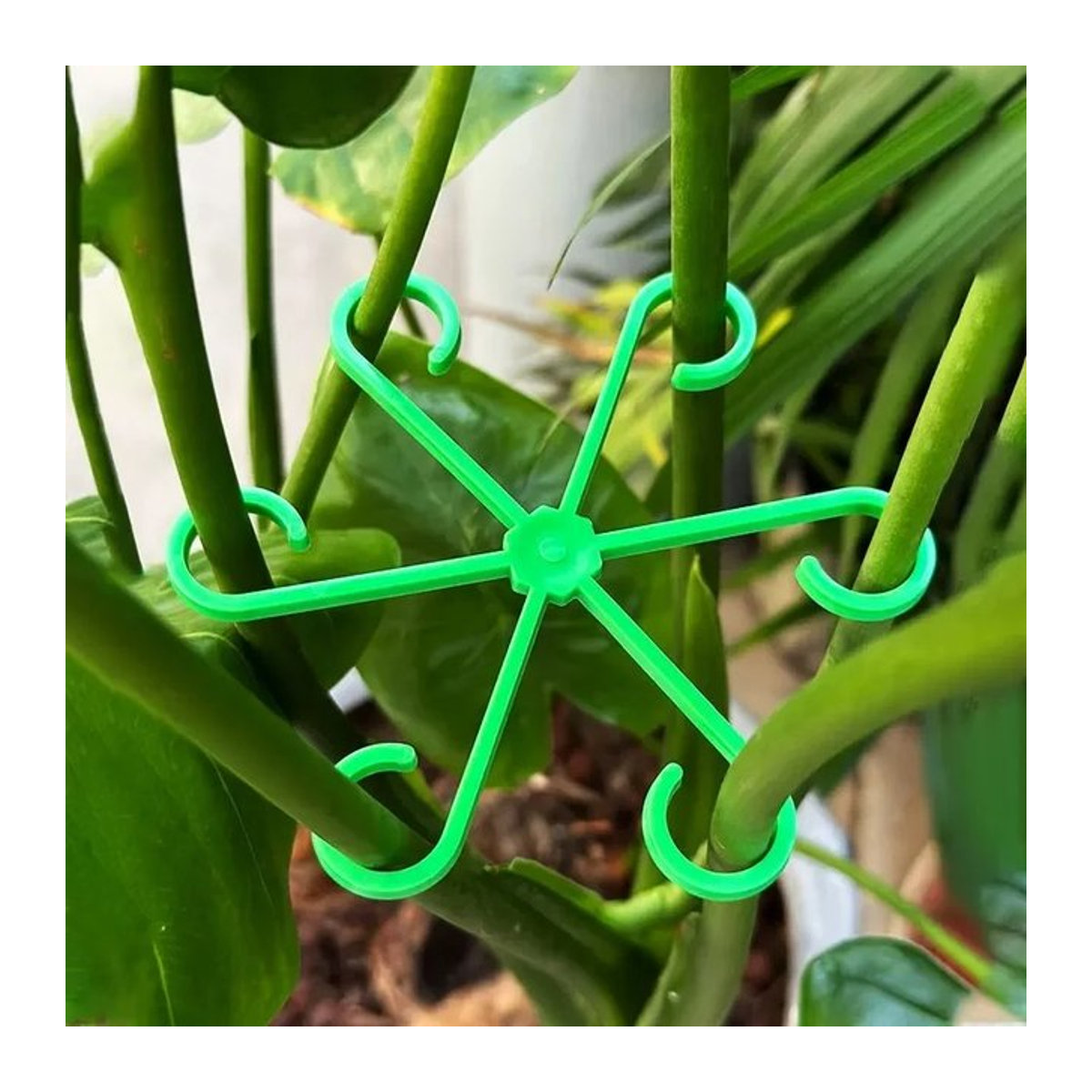 Pflanzensupport aus Kunststoff für Zimmerpflanzen und Gartenpflanzen zur Unterstützung von Stielen und Kletterpflanzen - Bild 1