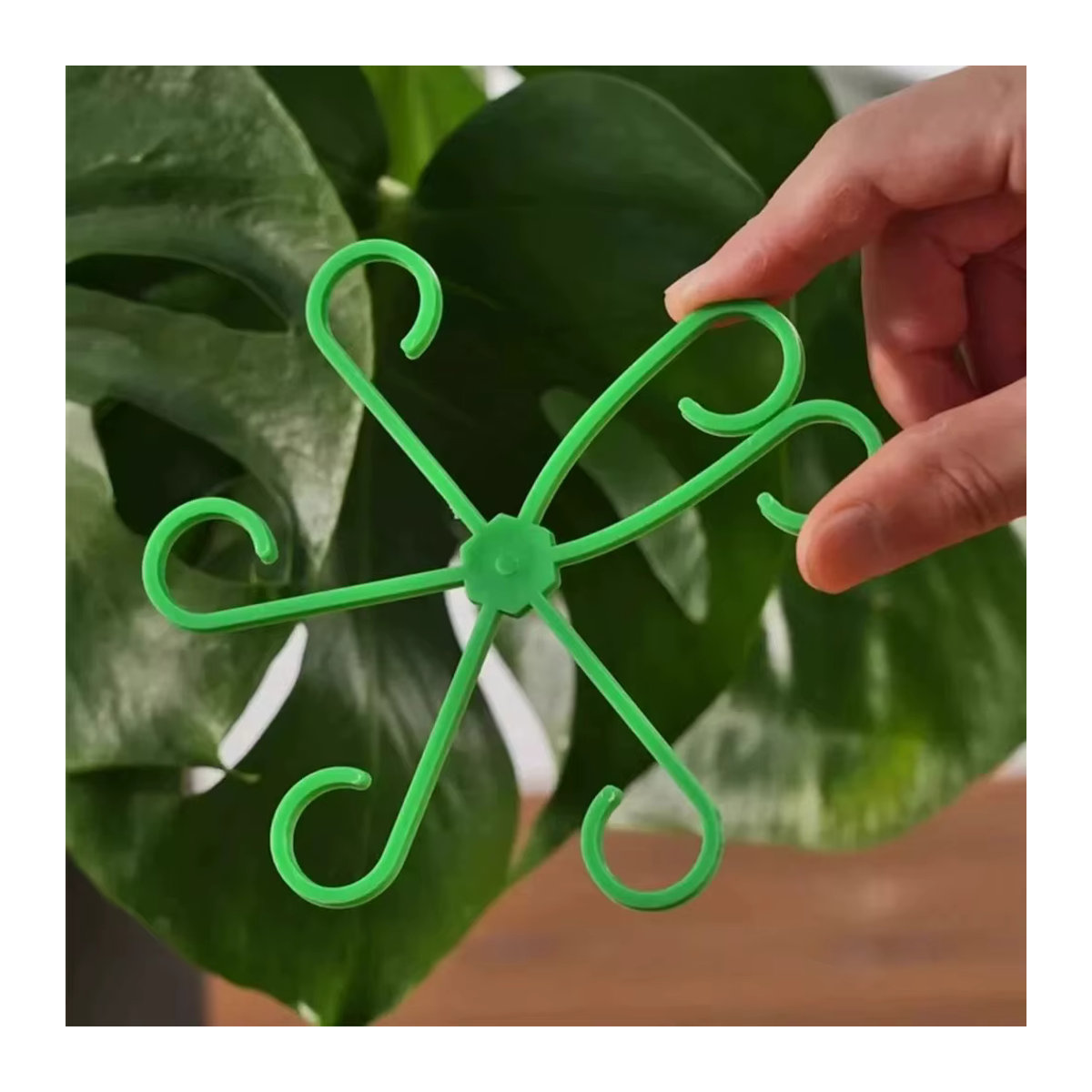 Pflanzensupport aus Kunststoff für Zimmerpflanzen und Gartenpflanzen zur Unterstützung von Stielen und Kletterpflanzen - Bild 3