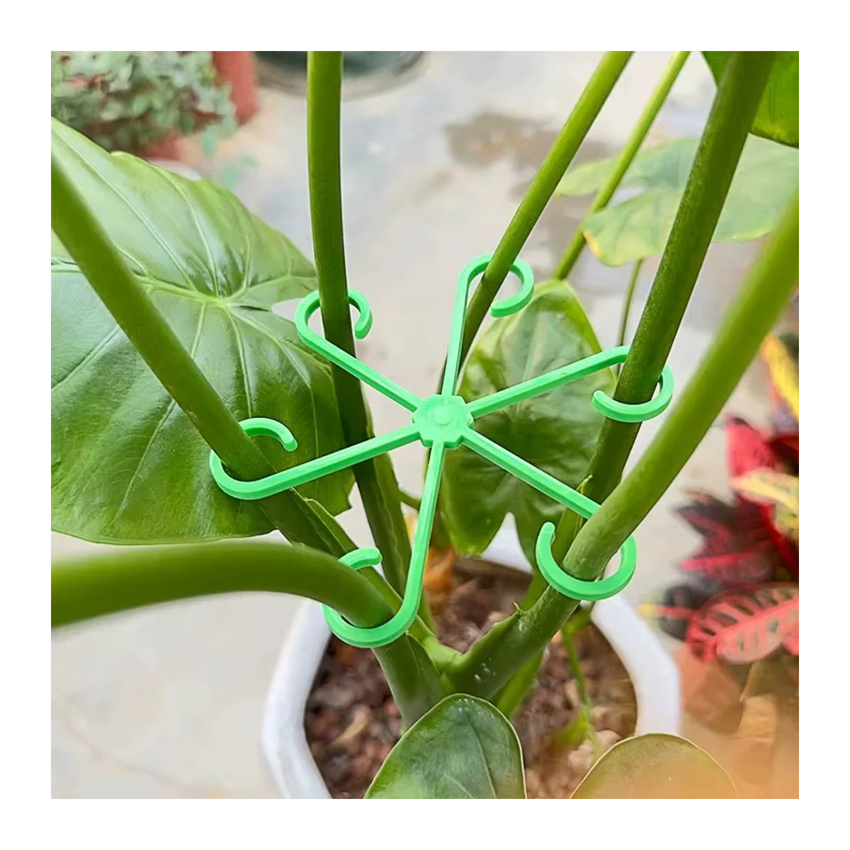 Pflanzensupport aus Kunststoff für Zimmerpflanzen und Gartenpflanzen zur Unterstützung von Stielen und Kletterpflanzen - Bild 4