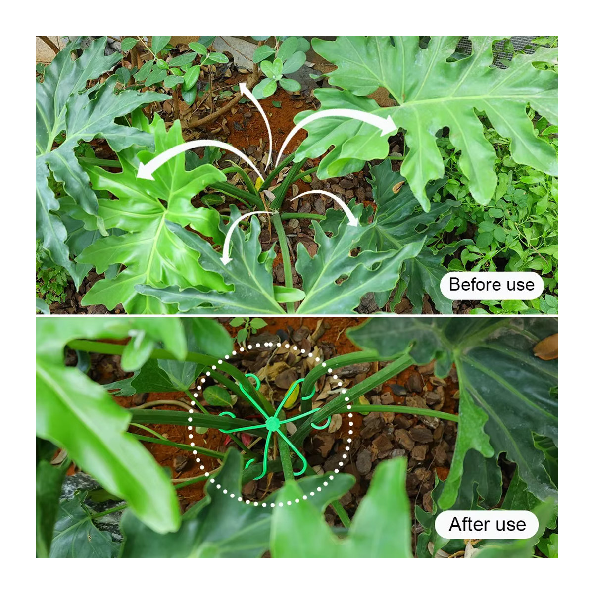 Pflanzensupport aus Kunststoff für Zimmerpflanzen und Gartenpflanzen zur Unterstützung von Stielen und Kletterpflanzen - Bild 5