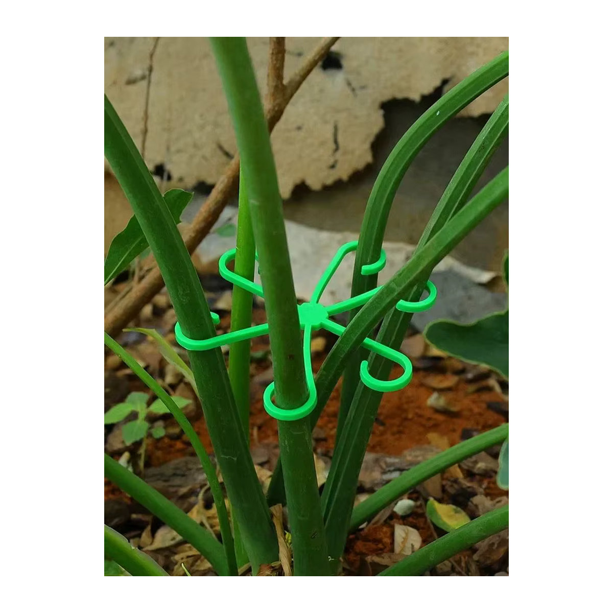 Pflanzensupport aus Kunststoff für Zimmerpflanzen und Gartenpflanzen zur Unterstützung von Stielen und Kletterpflanzen - Bild 6