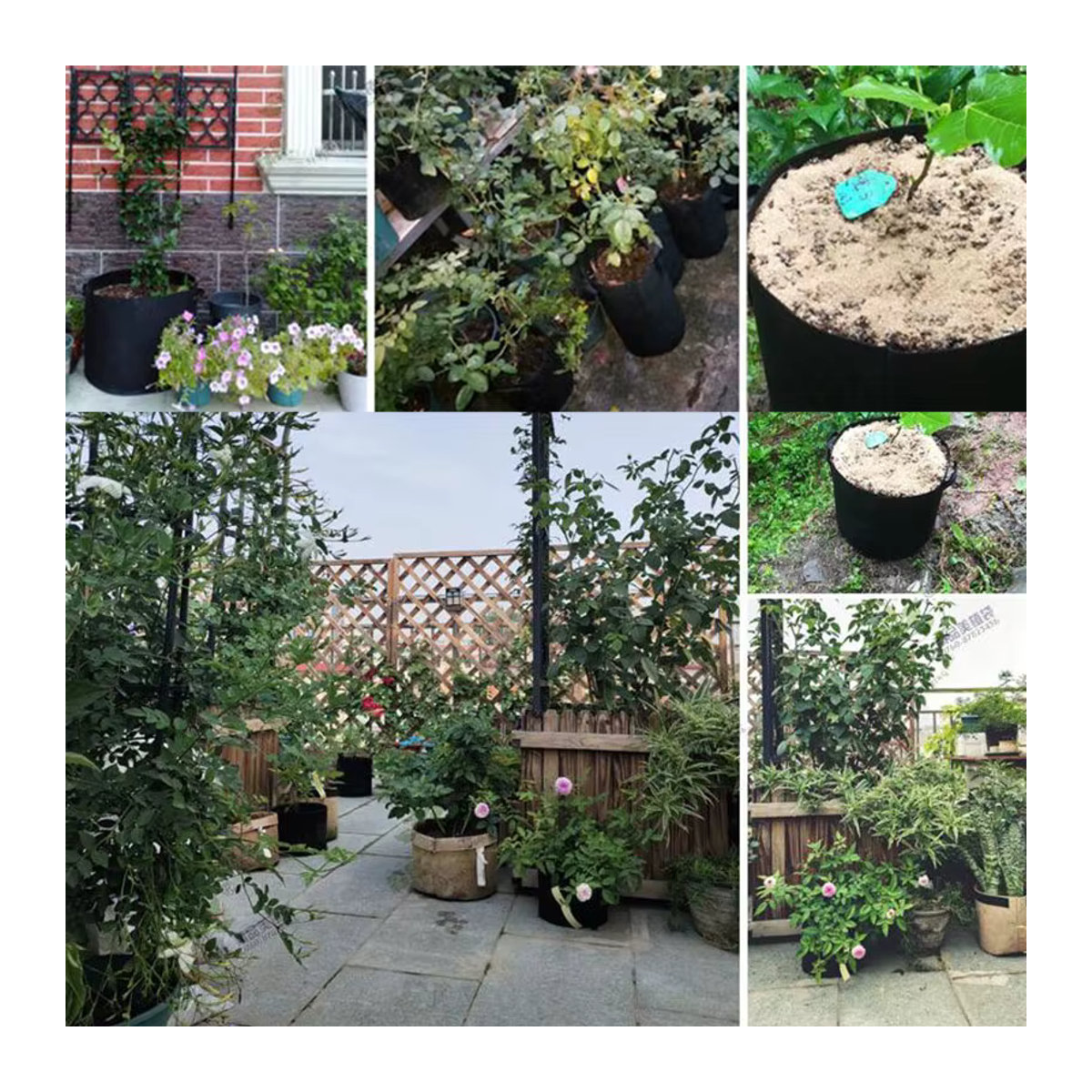 Pflanzenwachstumsbeutel für den Hausgarten zur Kultivierung von Obstpflanzen, Stofftopf in verschiedenen Größen von 1 bis 30 Gallonen - Bild 5