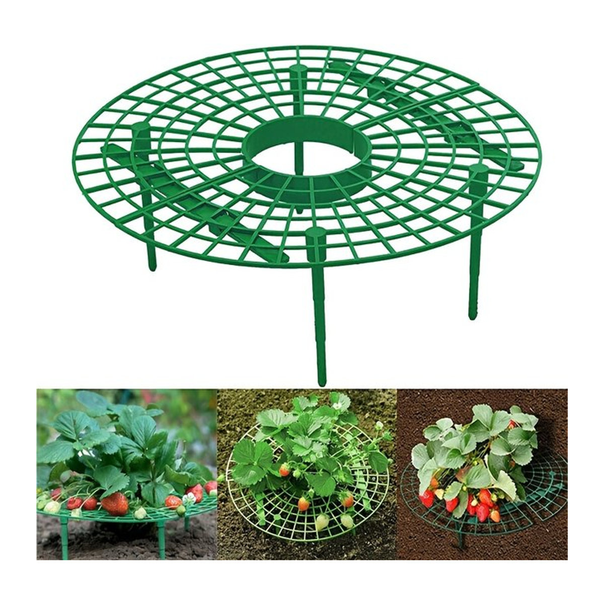 Pflanzregal für Erdbeeren und kleine Pflanzen mit 3 stabilen Ständern, Grün, Kunststoff - Bild 1