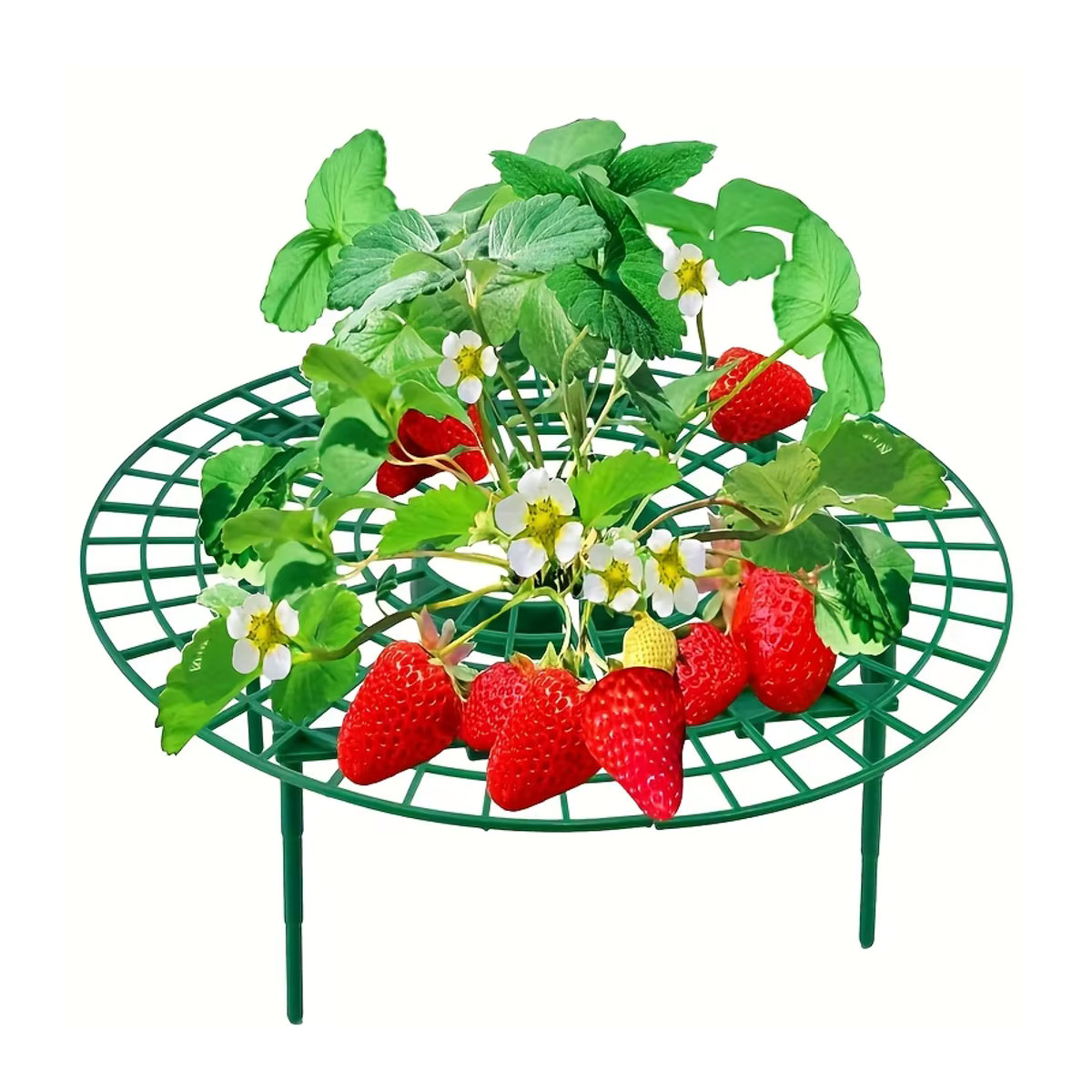Pflanzregal für Erdbeeren und kleine Pflanzen mit 3 stabilen Ständern, Grün, Kunststoff - Bild 2