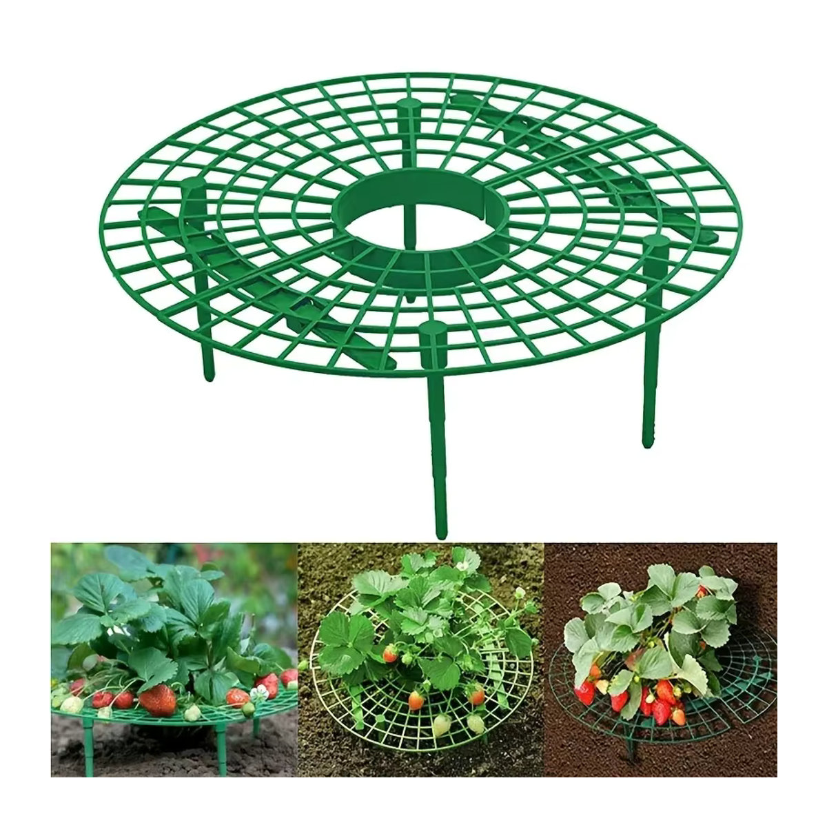 Pflanzregal für Erdbeeren und kleine Pflanzen mit 3 stabilen Ständern, Grün, Kunststoff - Bild 7